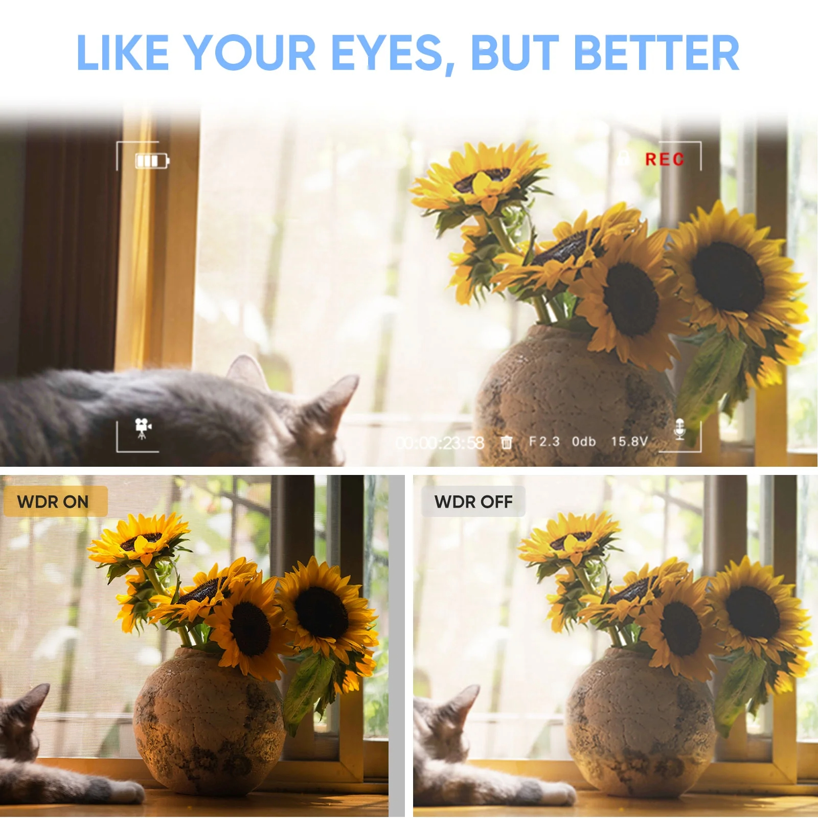 ORDRO M5 Video Camera Vlogging Camcorder 5K 3-Axis Stabilization Handheld Camera for Photography