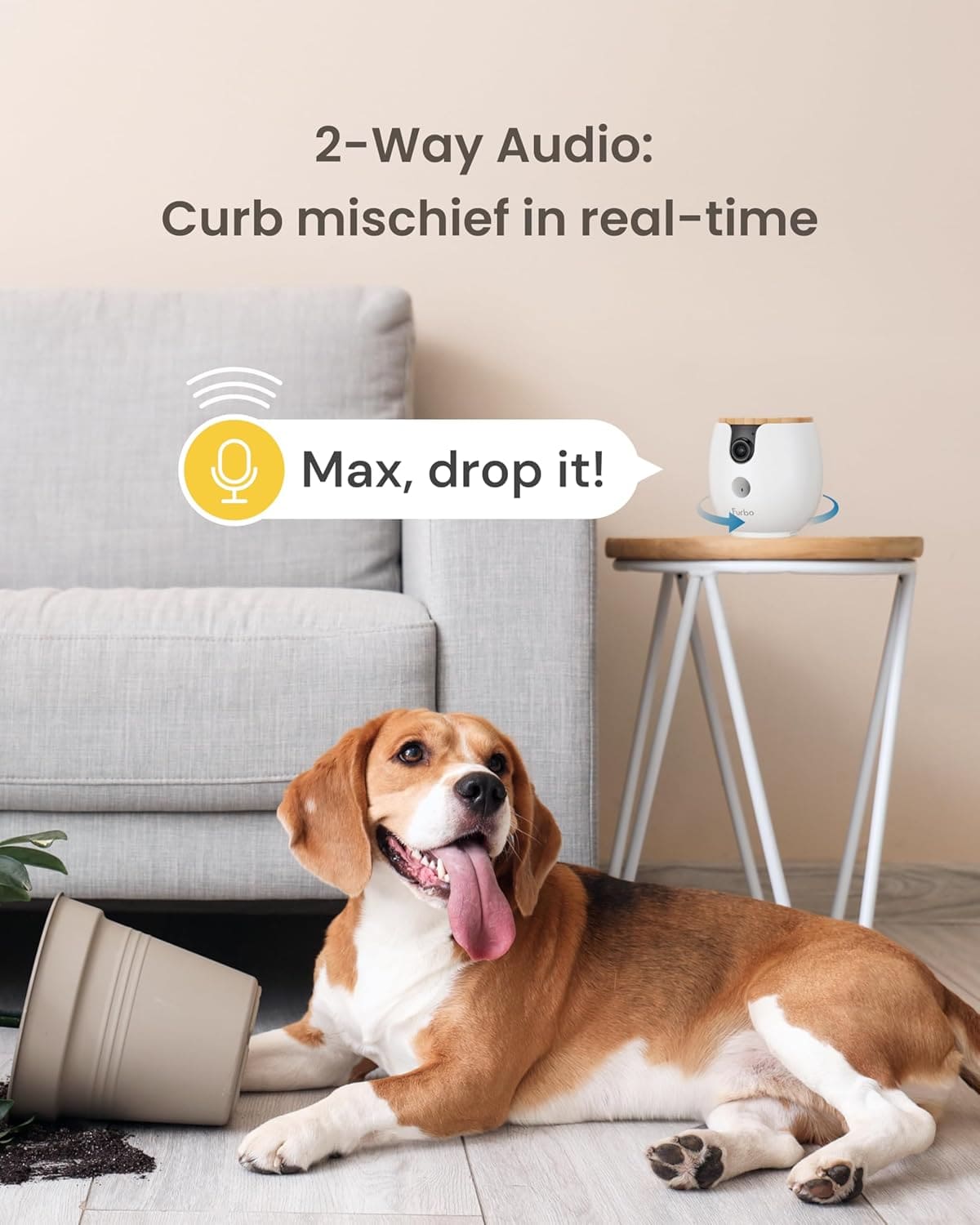 كاميرا الحيوانات الأليفة Petcube Bites 2 Lite، مع عضوية Furbo Nanny Premium المجانية لمدة 12 شهرًا